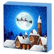 Салфетки двухслойные 33х33 New Line FRESKO, 20 листов НГ, НОВОГОДНЯЯ СКАЗКА